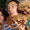 和妹妹吃臭袜子味儿的糖，巨臭！（内有化妆彩蛋