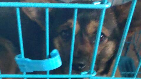 14cf9bf704970c4eff175fd827e5d43d7219c2e9.jpg@480w_270h_1c