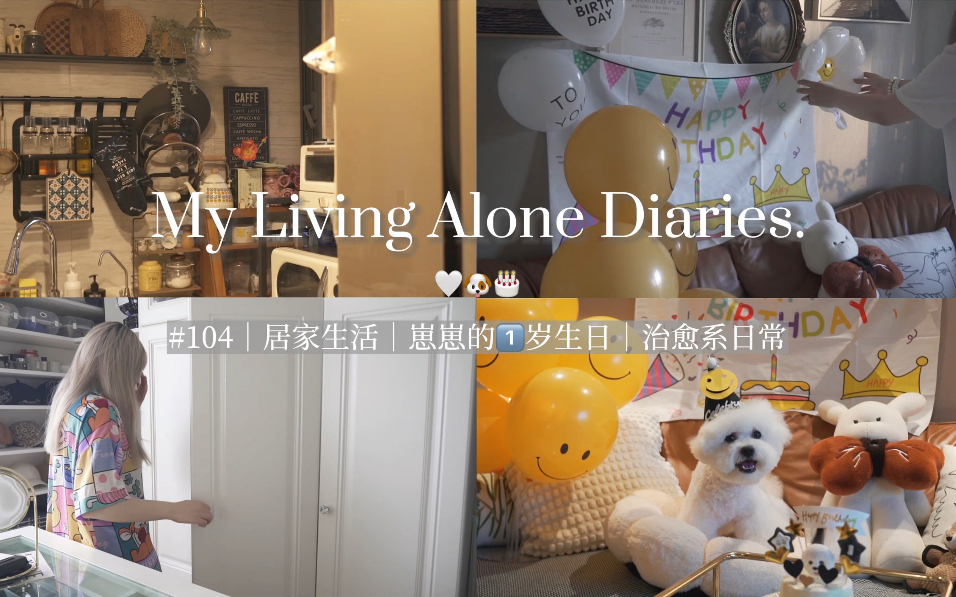 Vlog¹⁰⁴|♡治愈系日常♡🐶崽的1⃣️岁生日-Michelle藝希-Michelle藝希-哔哩哔哩视频
