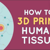 【Ted-ED】如何3D打印人体组织 How To 3D Print Human Tissue