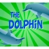 The Dolphin ｜ Educational Video for Kids.