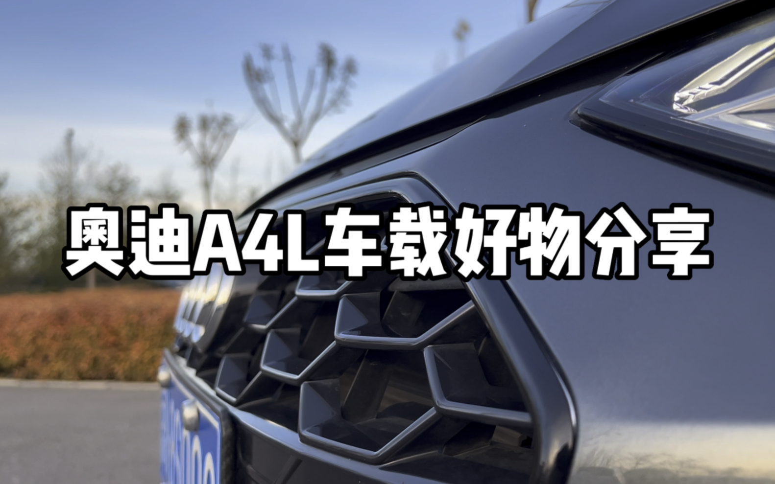 奥迪A4L车载好物分享