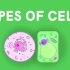 细胞类型Types of Cells