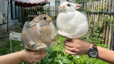 151ae62037cfa519e7cadb4ab6eac093fc5e55fb.jpg@480w_270h_1c