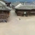 浙江台州临海:台风利奇马对临海造成的破坏视频、图片集合