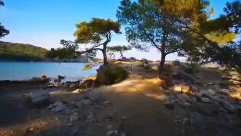 15315bec33dce4c29153aa26eb485900feda0f58.jpg@480w_270h_1c