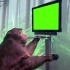 猴子用脑机玩游戏绿幕(GB素材+使用例）