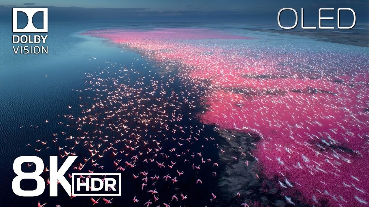 【8K HDR】令人叹为观止的 8K (杜比视界™) HDR 超高清画面|杜比视界|电视屏幕测试|手机屏幕测试 |