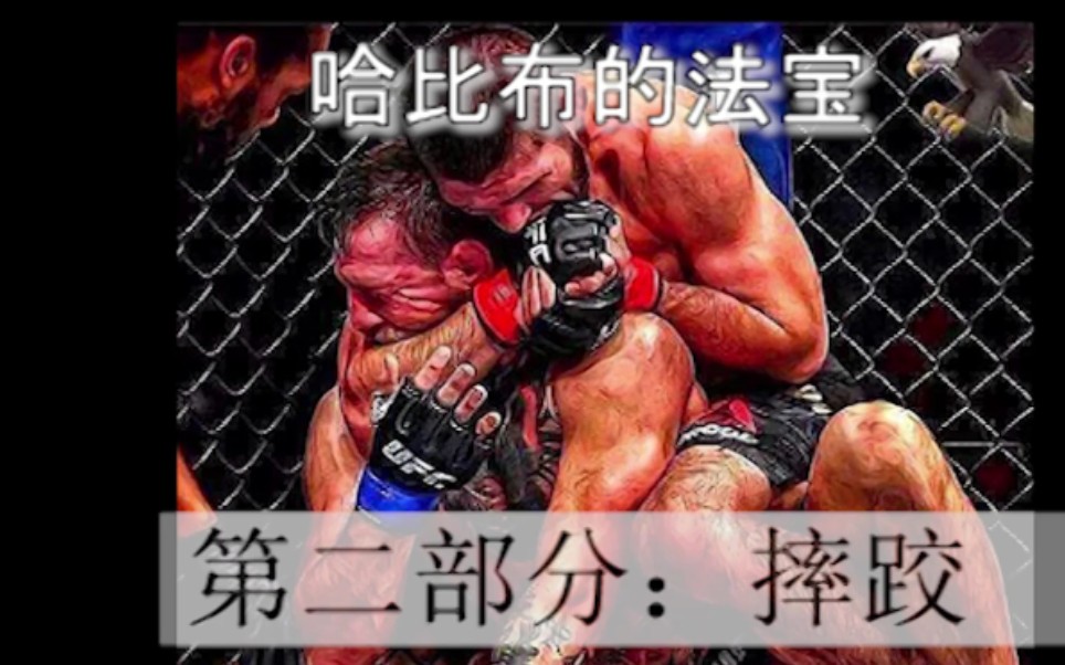 小鹰哈比布要想击败夜魔托尼弗格森的关键mma技术分析mma系列03
