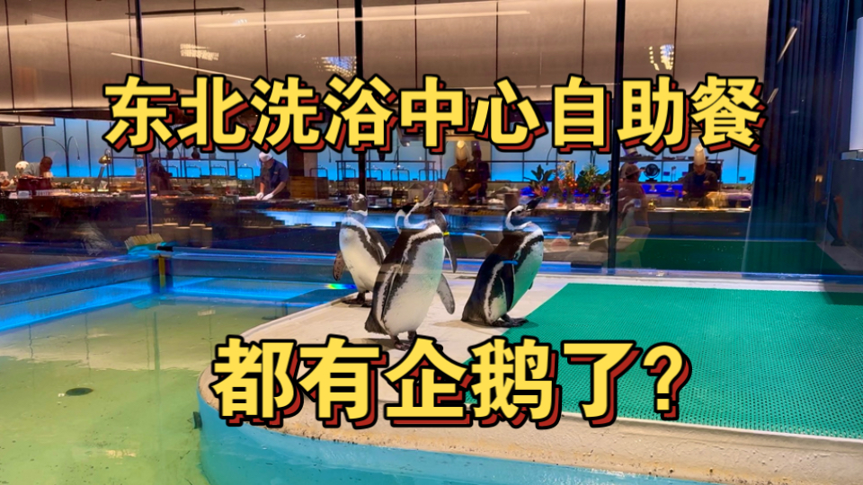 洗浴中心自助餐都有企鹅了？东北洗浴真神了