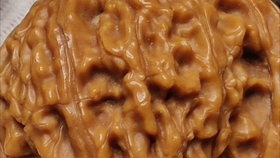 1569b8d825c9b191b6d449ac2a1cb42e81fe29c4.jpg@280w_158h_1c_100q.jpg