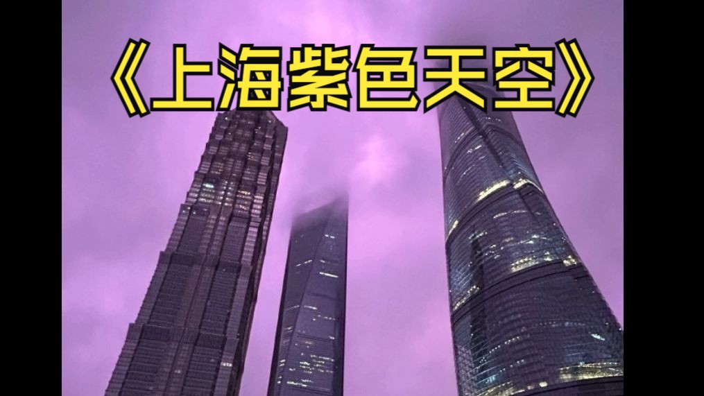 大型纪录片《上海现紫色天空》哔哩哔哩bilibili