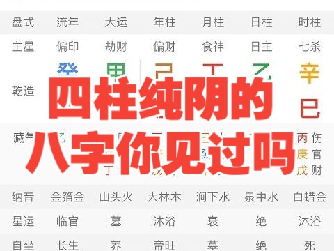 四柱纯阴的八字你见过吗？