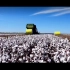 澳大利亚：现代化收棉花！收割、打捆、转运一气呵成，感受现代农业的壮观场面，这样的农业机械化，你想去工作么？