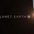 【纪录片《地球脉动II》混剪】我们的星球