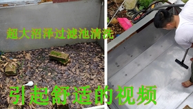 15bcac6ce1ecc32c6c99978ea8657802ca010491.jpg@280w_158h_1c_100q.jpg