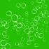 绿幕视频素材气泡