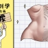 用解剖学教你画腰部？！