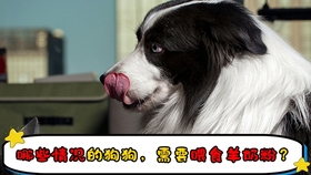 160ba128c5a50a5e775b9bac4022e501a833ac3d.jpg@280w_158h_1c_100q.jpg