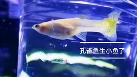 1633010fc015f735ffa33e959886684c12d0d87b.jpg@280w_158h_1c_100q.jpg