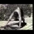 B.K.S.艾扬格大师瑜伽视频