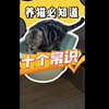 新手养猫家长要知道的十个猫咪常识