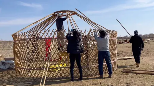 回到家乡才知道，原来蒙古包是这样搭建的？！