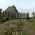 用2小时在Unity3D中创建森林场景