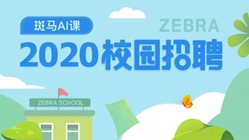 斑马招聘_斑马数智招聘岗位 斑马数智2020年招聘岗位信息 拉勾招聘