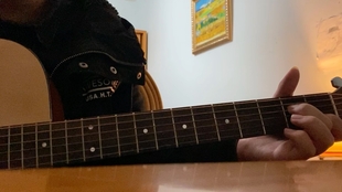 什么样的手适合练吉他 16743b7a6bcb368b1ec404b49eecc2f09acbbca0.jpg@310w_174h_1c_100q.jpg