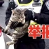UP被举报后知错就改，【警民合作】救猫的同时也救了人…