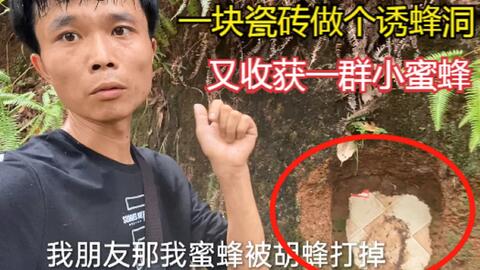 蜜蜂直播是干嘛的 1696c1d0478de2386bbd50d2cc47e07ebd147008.jpg@480w_270h_1c