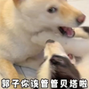 怎么还得让麻豆咬袜子才能揍他啊