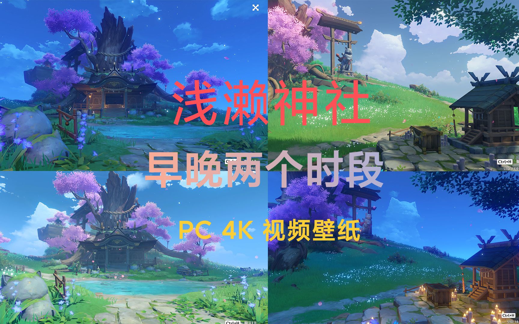 Wallpaper Engine 浅濑神社4K PC视频壁纸哔哩哔哩bilibili原神