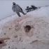 哈萨克斯坦野狼泛滥，牧民寻求猎狼人雪地抓捕饿狼