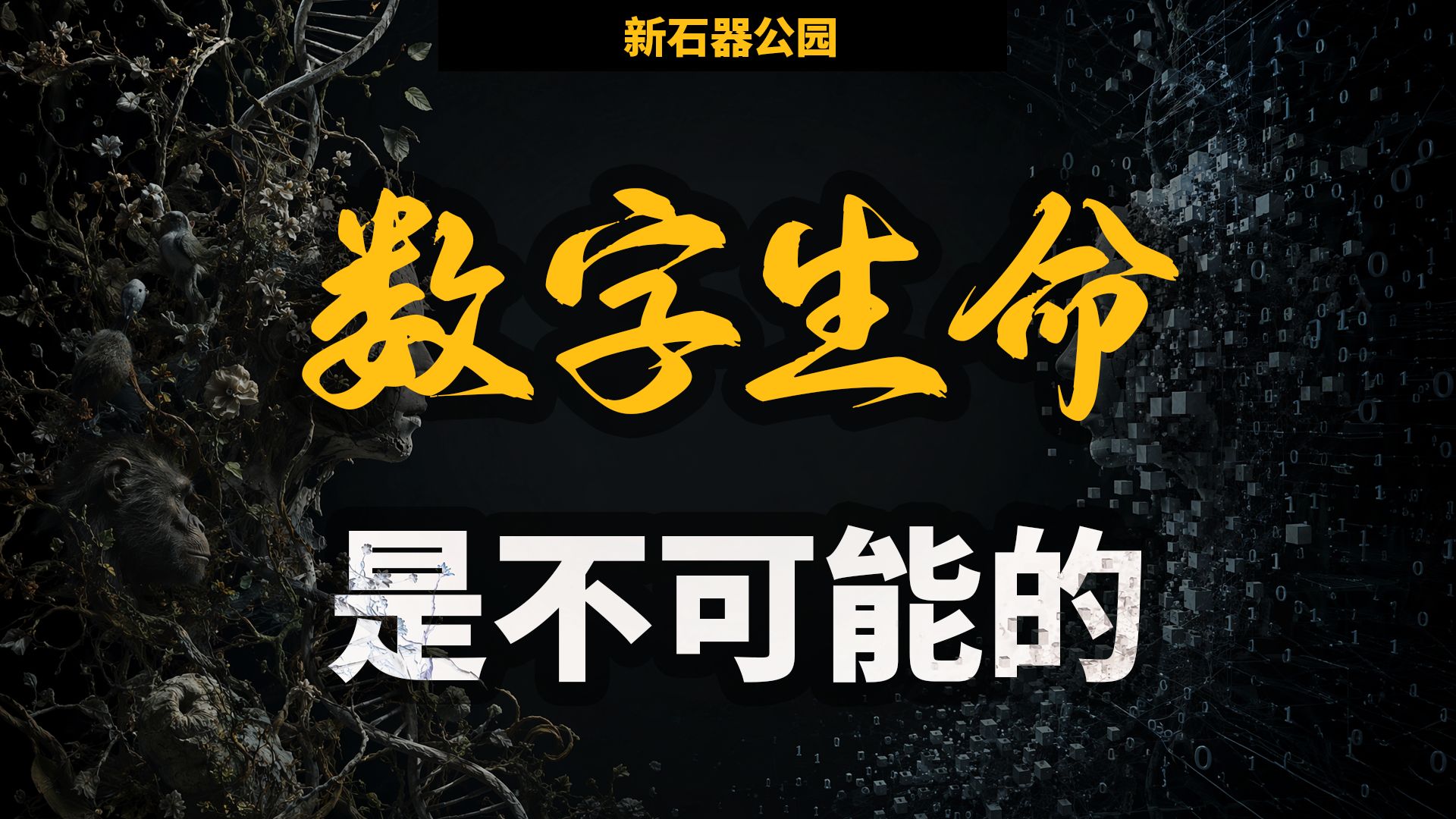 为什么你的意识，宇宙中最强大的计算机也模拟不出来？