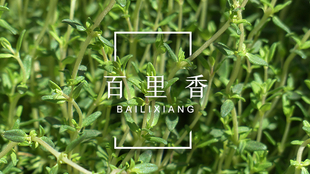16b48c8c6e786bb0db3a583dc875dfa77362020f.png@310w_174h_1c_100q.jpg