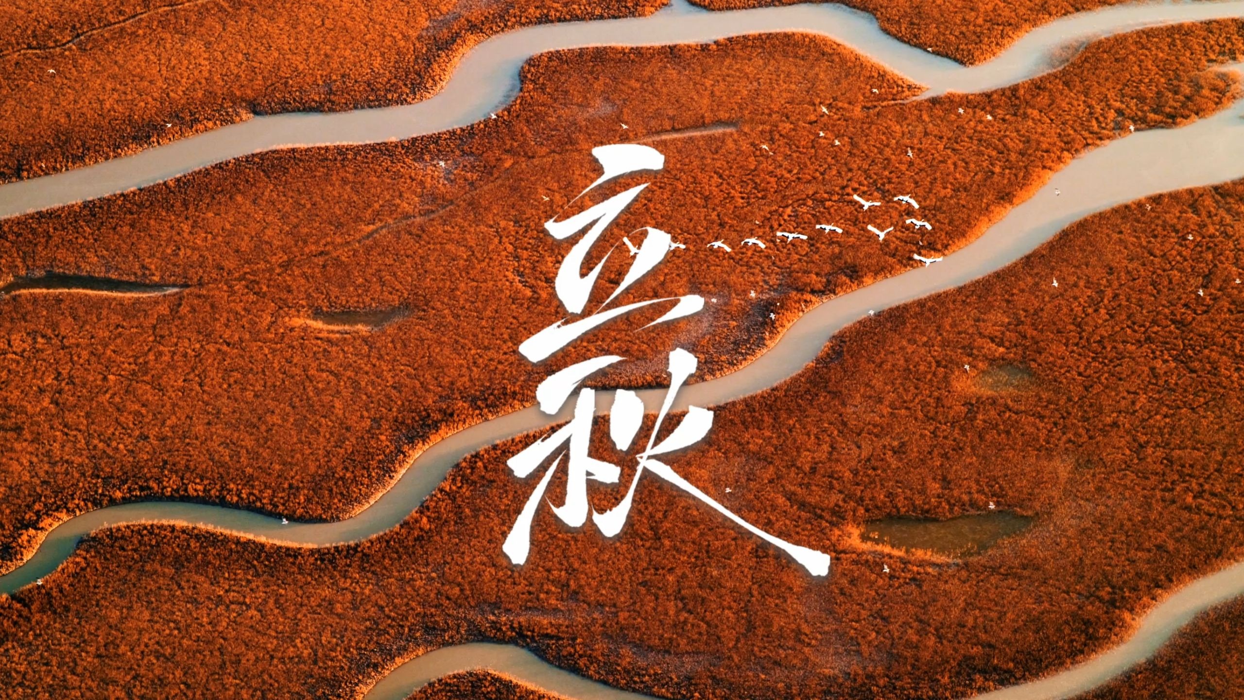 你的秋来啦！相信所有耕耘，终将抵达岁月的金黄