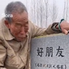PVZ玩家老了之后