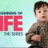 【Netflix】人之初 全6集 官方双语字幕 The Beginning Of Life (2016)