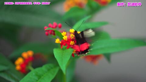 170ddc1e30ac6e6f51442e09c01cde266cb22fa2.jpg@480w_270h_1c
