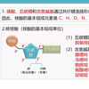 核酸的结构和种类