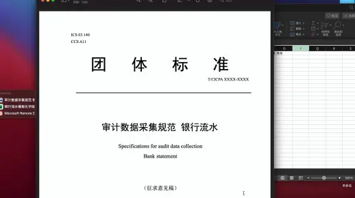 审计excel函数自动识别银行流水的账户完整性