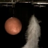 致敬伽利略：震撼人心的NASA真空室自由落体实验
