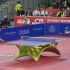 【2014 武汉 亚洲杯 乒乓球赛】马龙vs樊振东 男单决赛