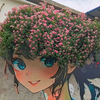 “浪漫的人间总是开满鲜花