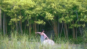 173db4746af7ddfe2dd01ec67f1dcff28ab798ab.jpg@280w_158h_1c_100q.jpg
