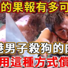 香港狗贩子的真实经历：杀狗的“肉债”竟用这种方式偿还！果报来得又快又猛！ #禅语