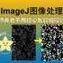 『充电专享』ImageJ图像处理 - StarDist助力高难度细胞识别统计