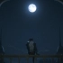 【IGN】《最终幻想16》主题曲「月を見ていた」先导预告